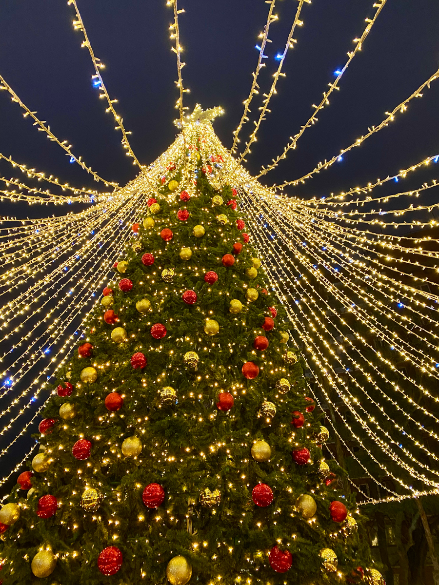 Главная елка на центральной площади