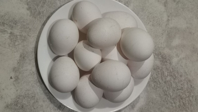 Усвоение белка - почему нарушается и как улучшить