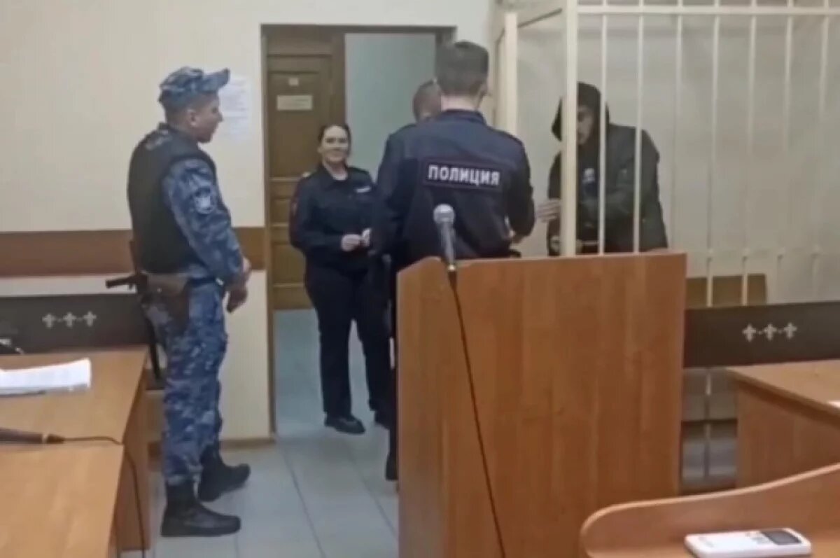    Приговор стримеру, который оскорбил Мизулину, вынесут 10 марта