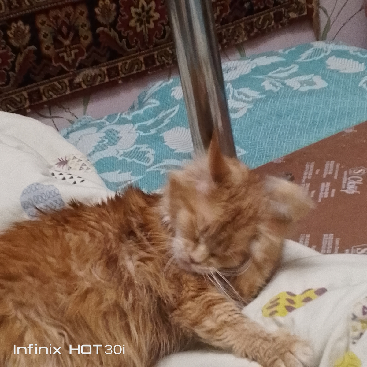 ( На кровати мой стол стоит.) 