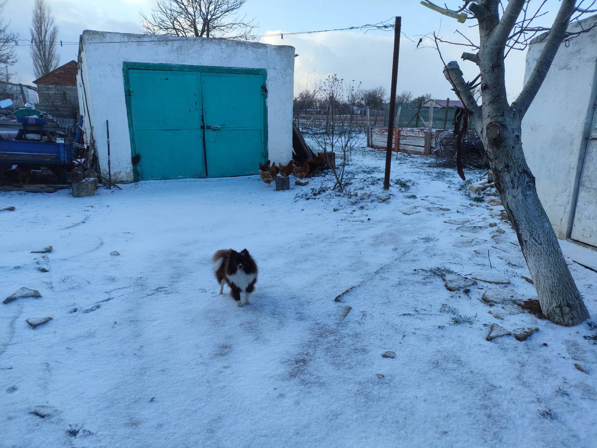 Снежное утро