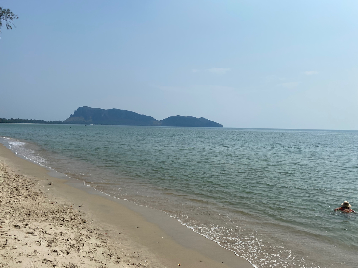 Так каждое утро..., это про купающихся.