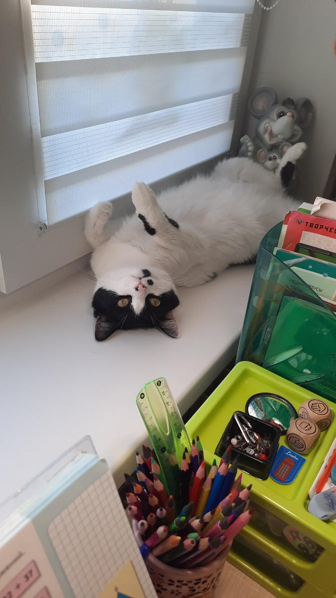 Вот у кого жизнь удалась! 