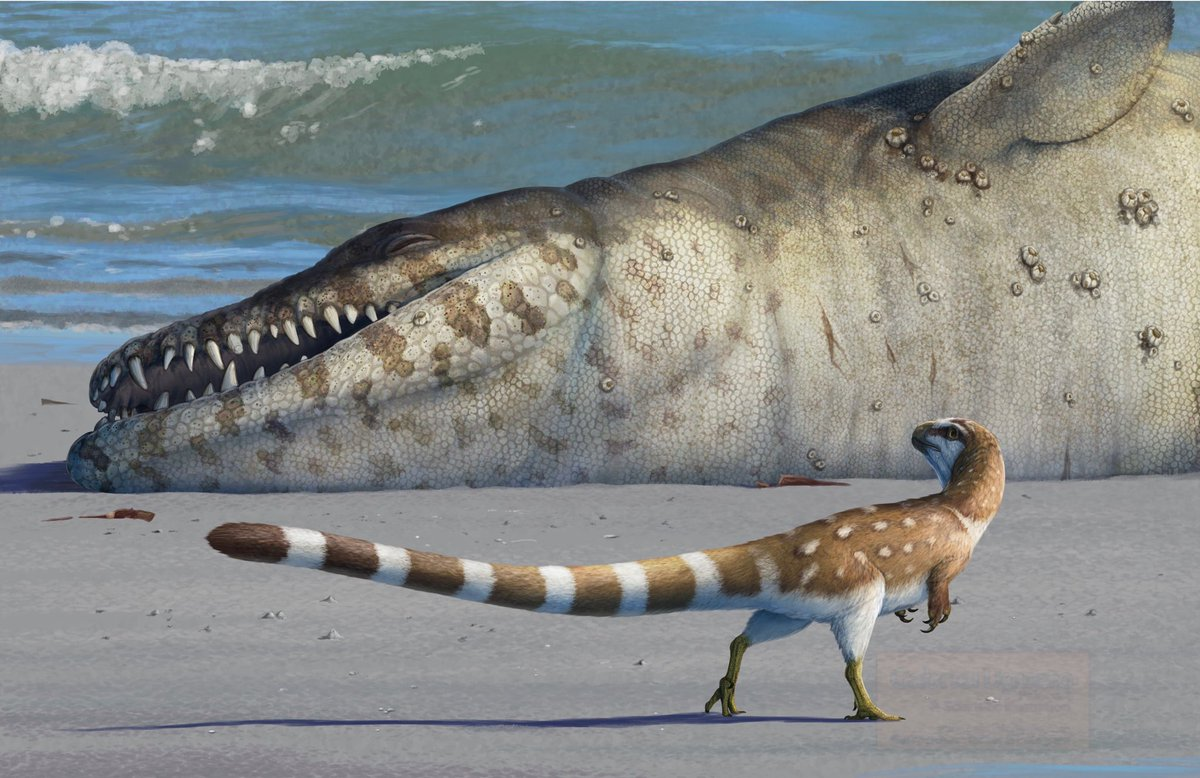 И это тоже тетраподы, но давно вымершие. А всё почему, похмеляться надо умеючи Взято, от тетраподов Яндекса