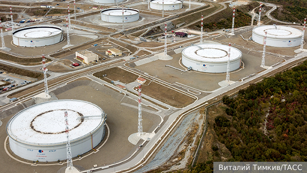     Фото: Виталий Тимкив/ТАСС   
 Текст: Валерия Городецкая