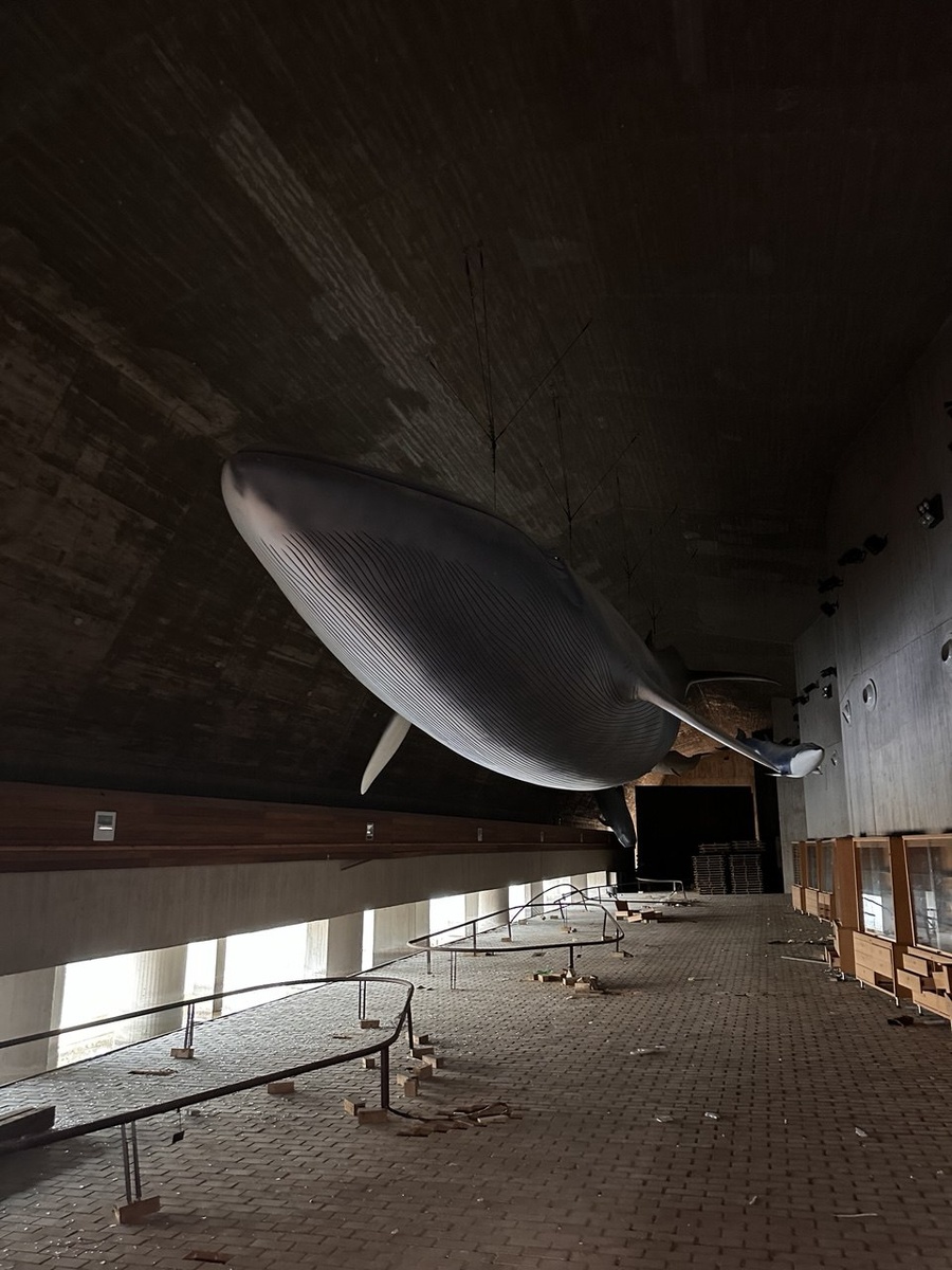 В Испании, недалеко от границы с Португалией, находится заброшенный музей океанографии, который привлекает внимание исследователей и любителей урбанистики. Этот музей, когда-то служивший образовательным и научным центром, ныне оставлен без присмотра и постепенно разрушается.