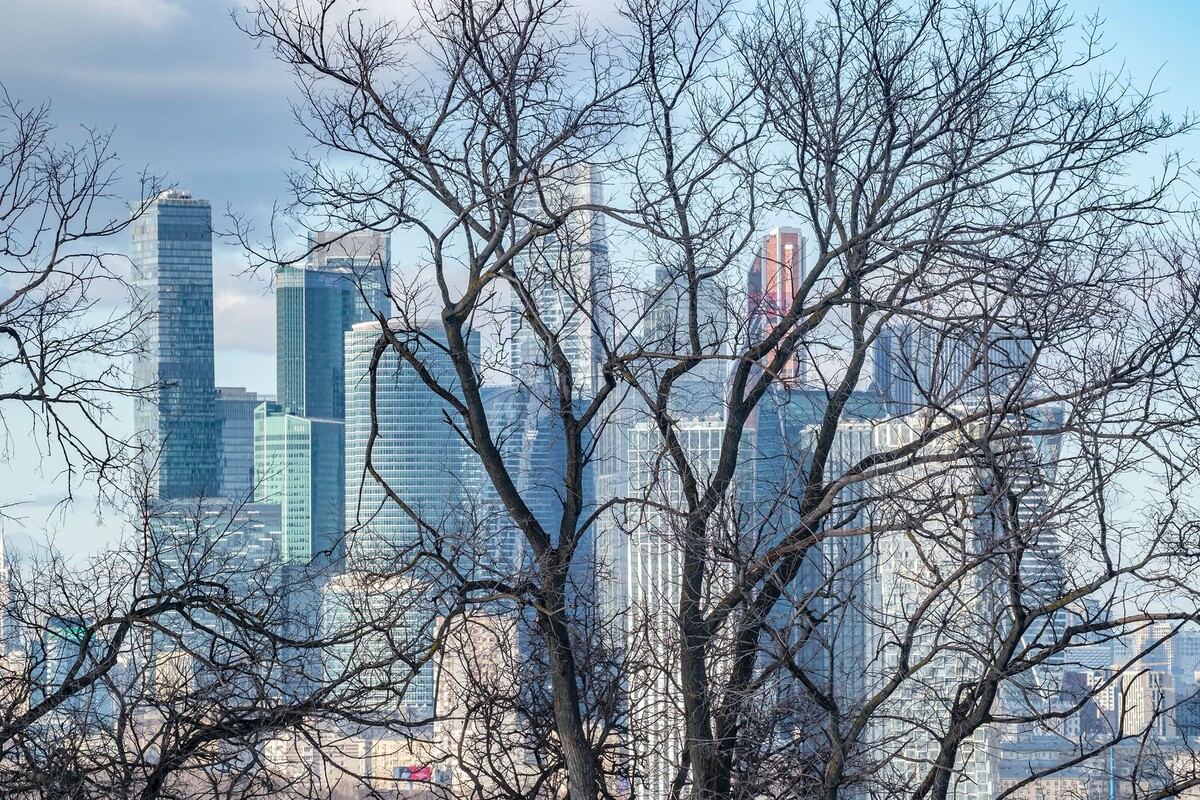     / Источник: © ИЗВЕСТИЯ/Константин Кокошкин