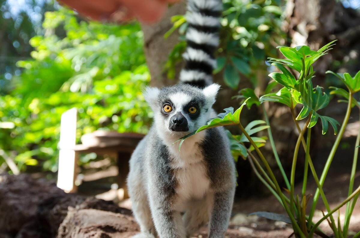 Фото взято из открытого источника.