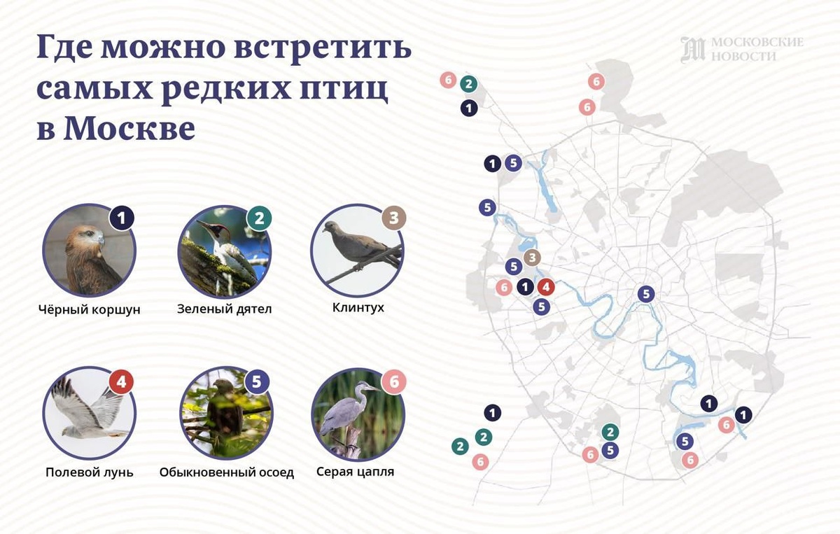 Фото: «Московские новости» 