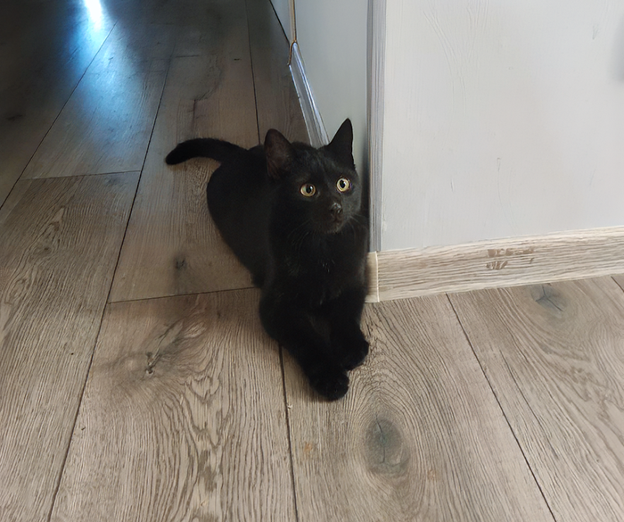 Уголек в 4 месяца