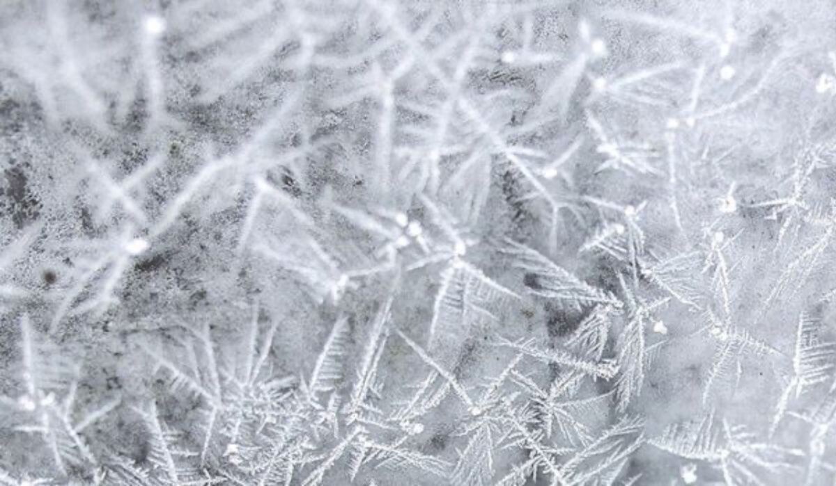     Заморозки. Источник: vestivrn.ru Автор фото: "Вести Воронеж"