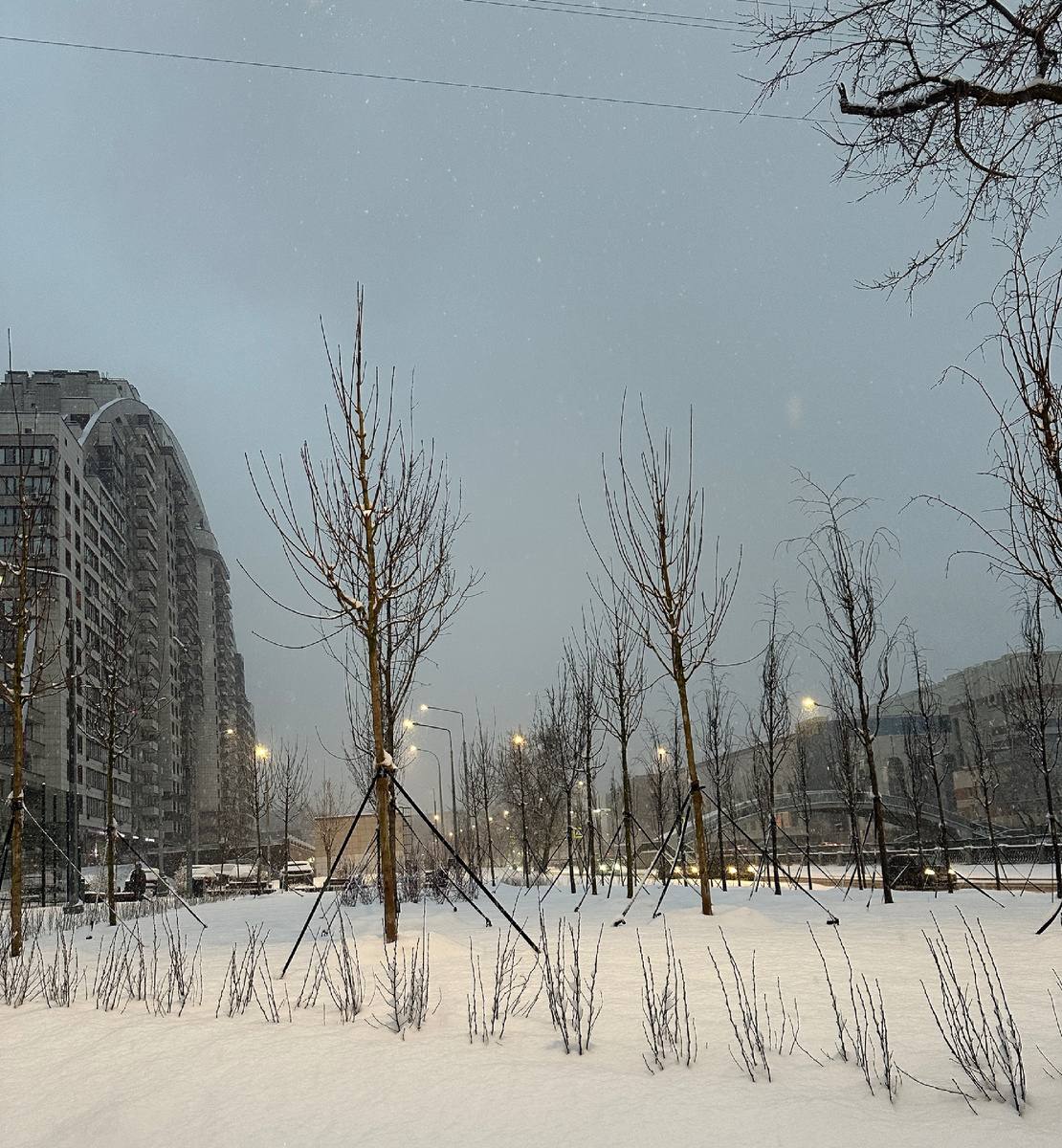 Фотография сделана автором канала