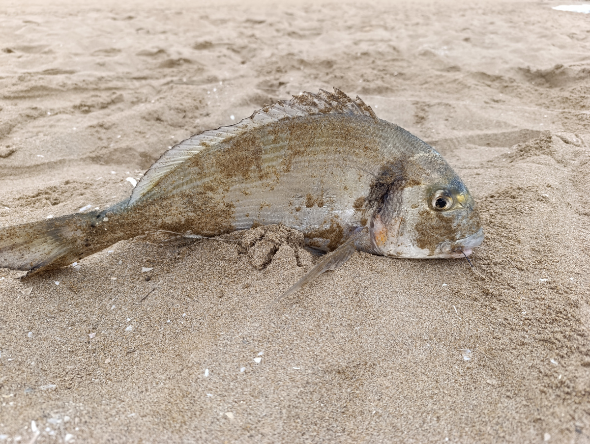 Ну здравствуй ...