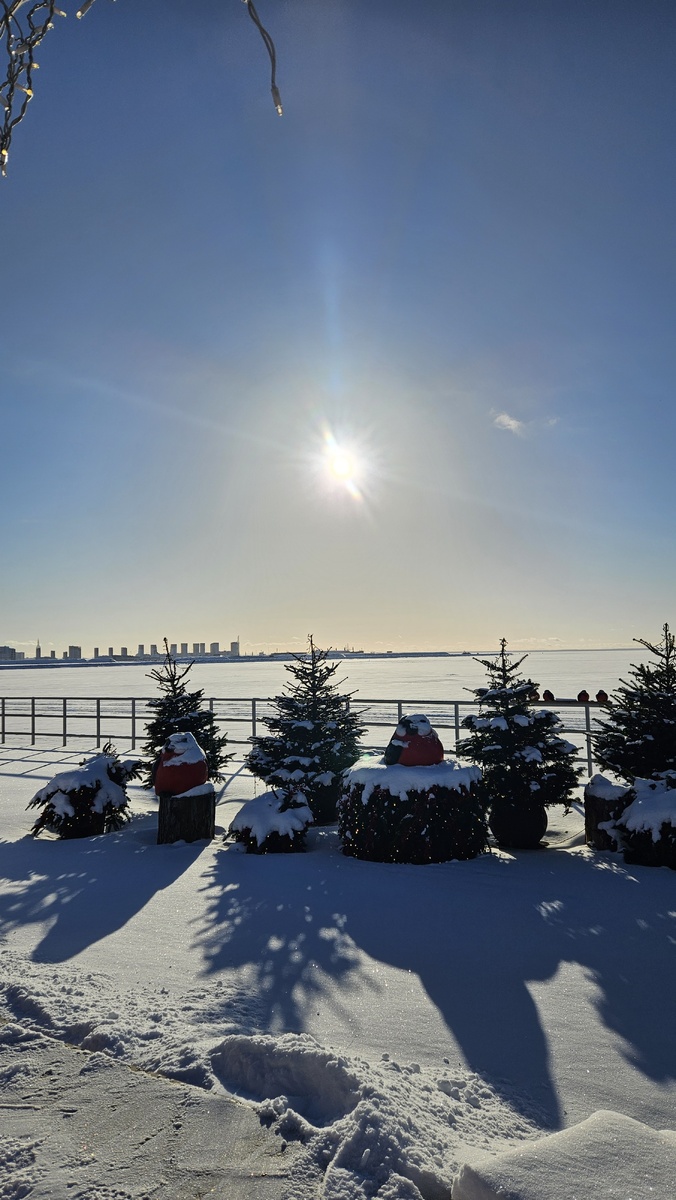 Каток у Флагштока (фотография автора)