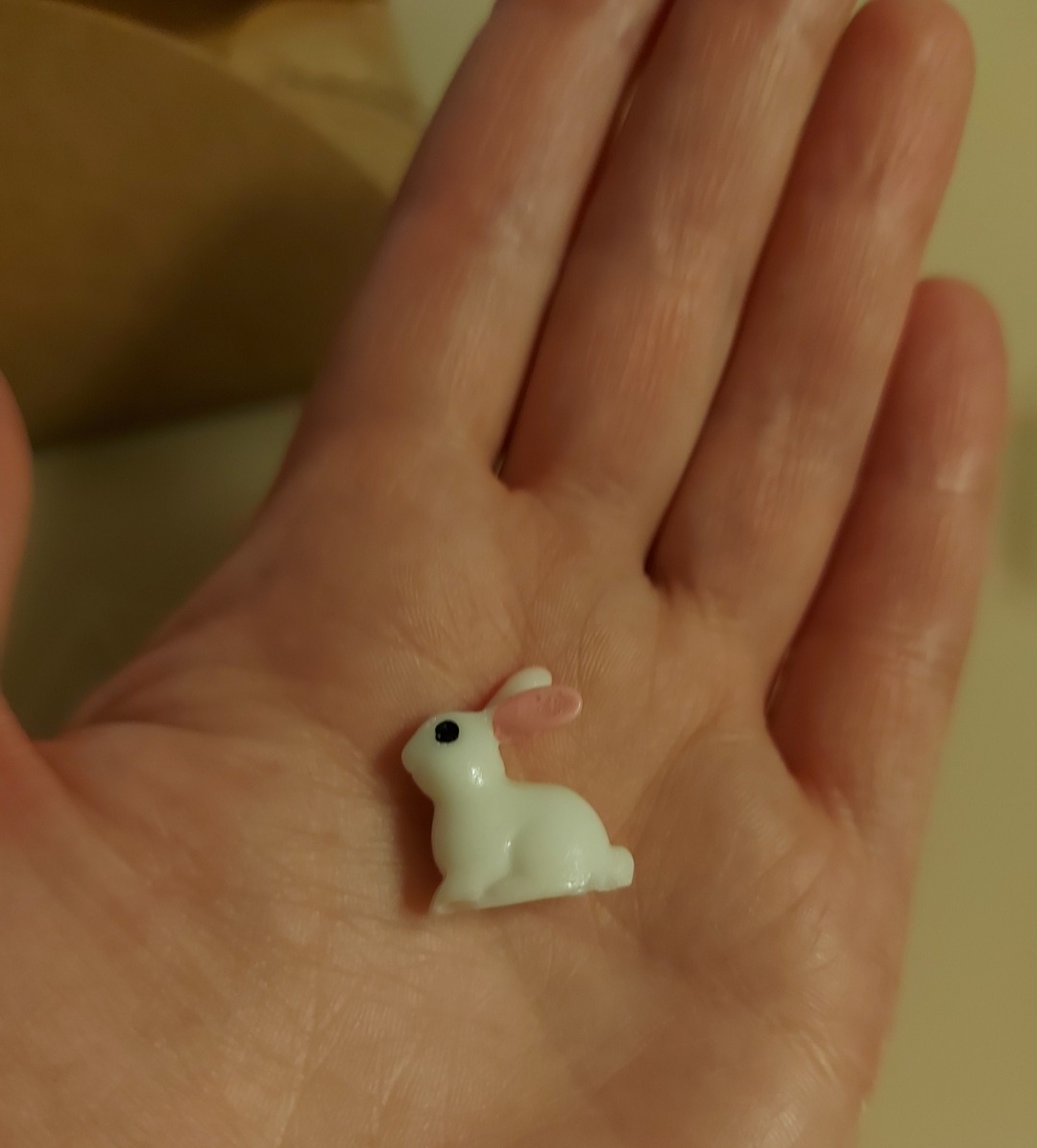 Зая. Мой самый первый карманный житель, который поселился у меня 29 марта 2023 года.