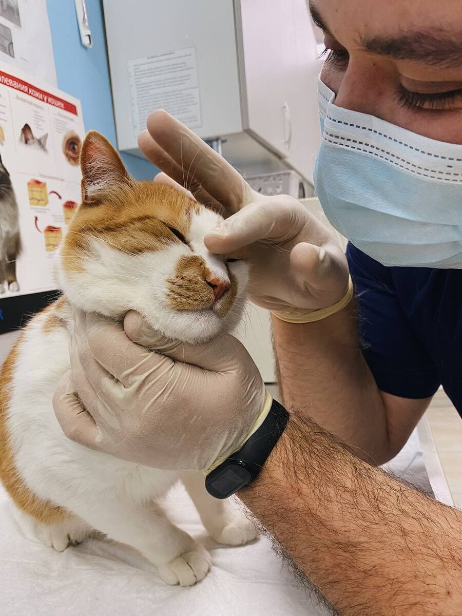 Самый добрый доктор.