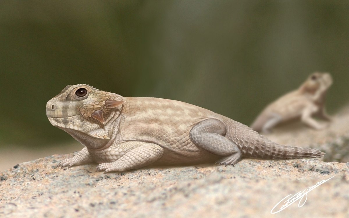 Представитель семейства проколофонид.