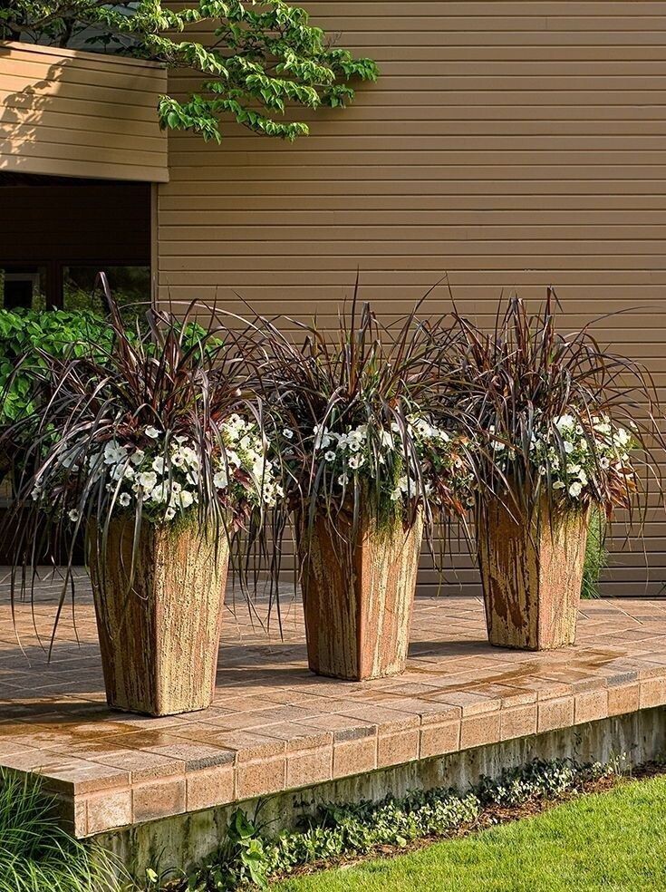 Фото найдено на просторах Интернета