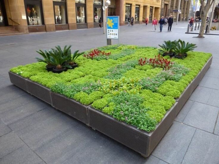 Фото найдено на просторах Интернета