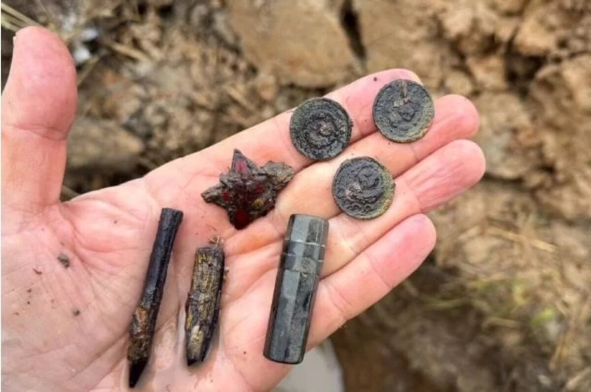    В Тверской области обнаружили останки двух красноармейцев