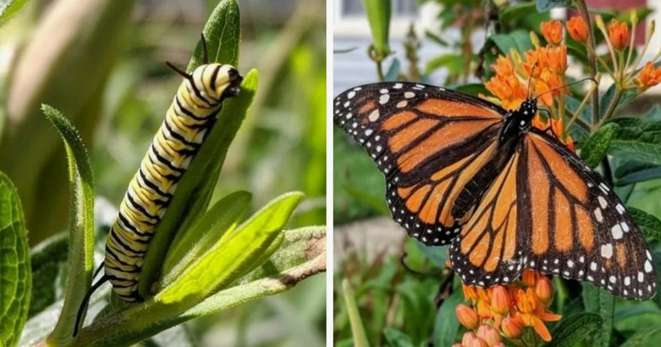 Все фото из интернета