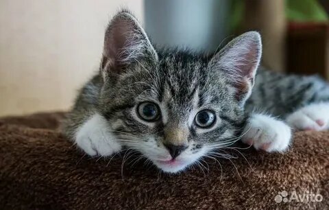 фото из открытого источника