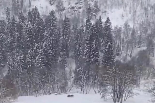    В регионах Северного Кавказа бушует непогода. Фото: ГУ МЧС по Карачаево-Черкесии