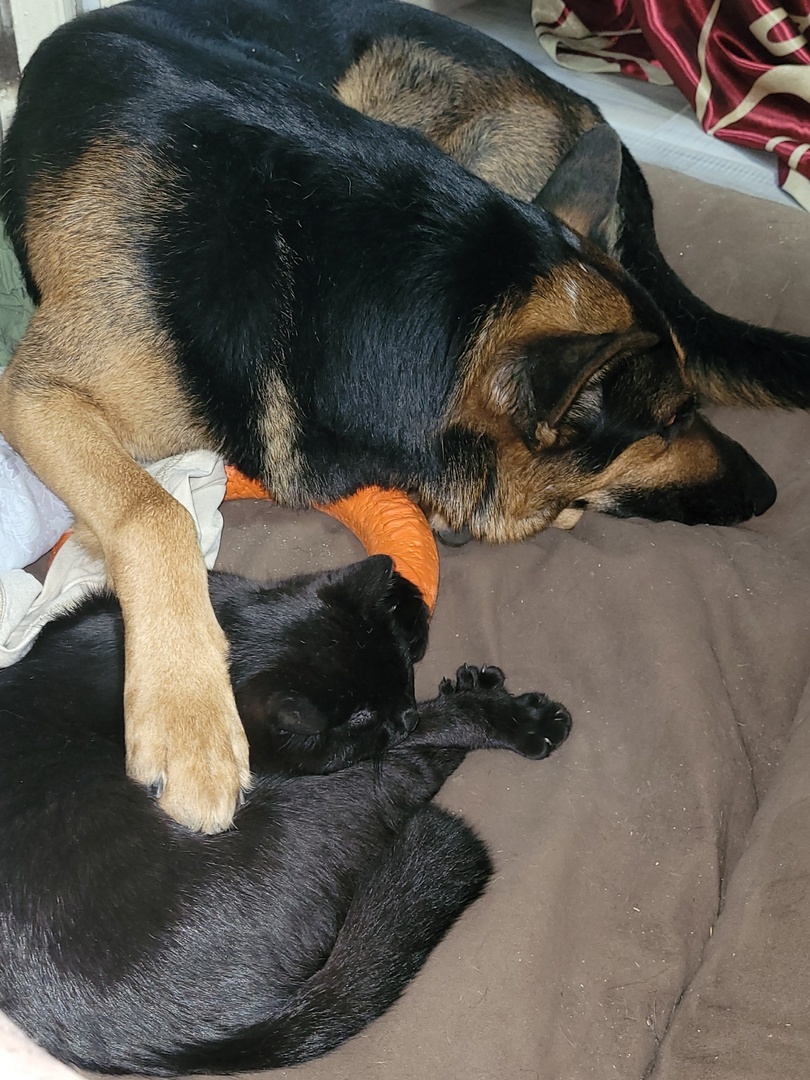 Раньше Константин работал колдуном. В доказательство он прислал это фото