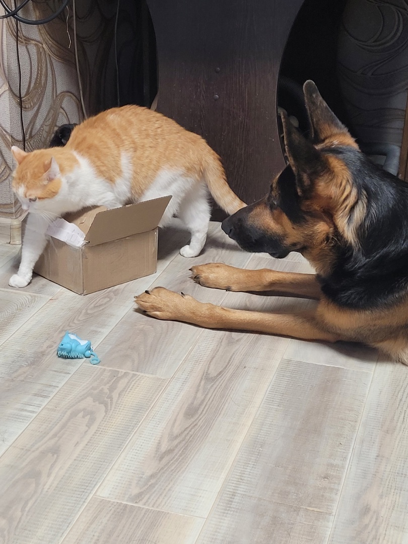 Зоопарк писателя