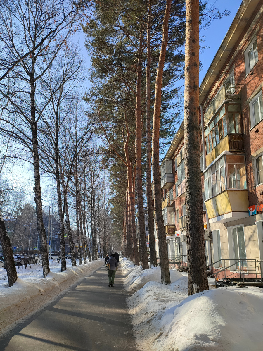 Самый распространенный цветок в оформлении здесь - это сосны 😄 И нигде больше такого не встречала 🤷