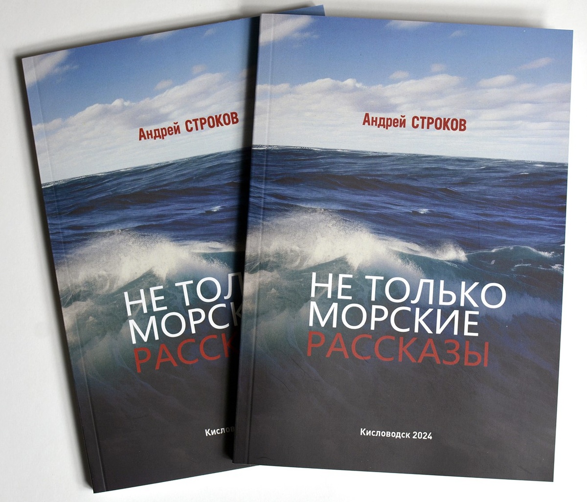 Обложка книги и автор – листайте галерею вправо