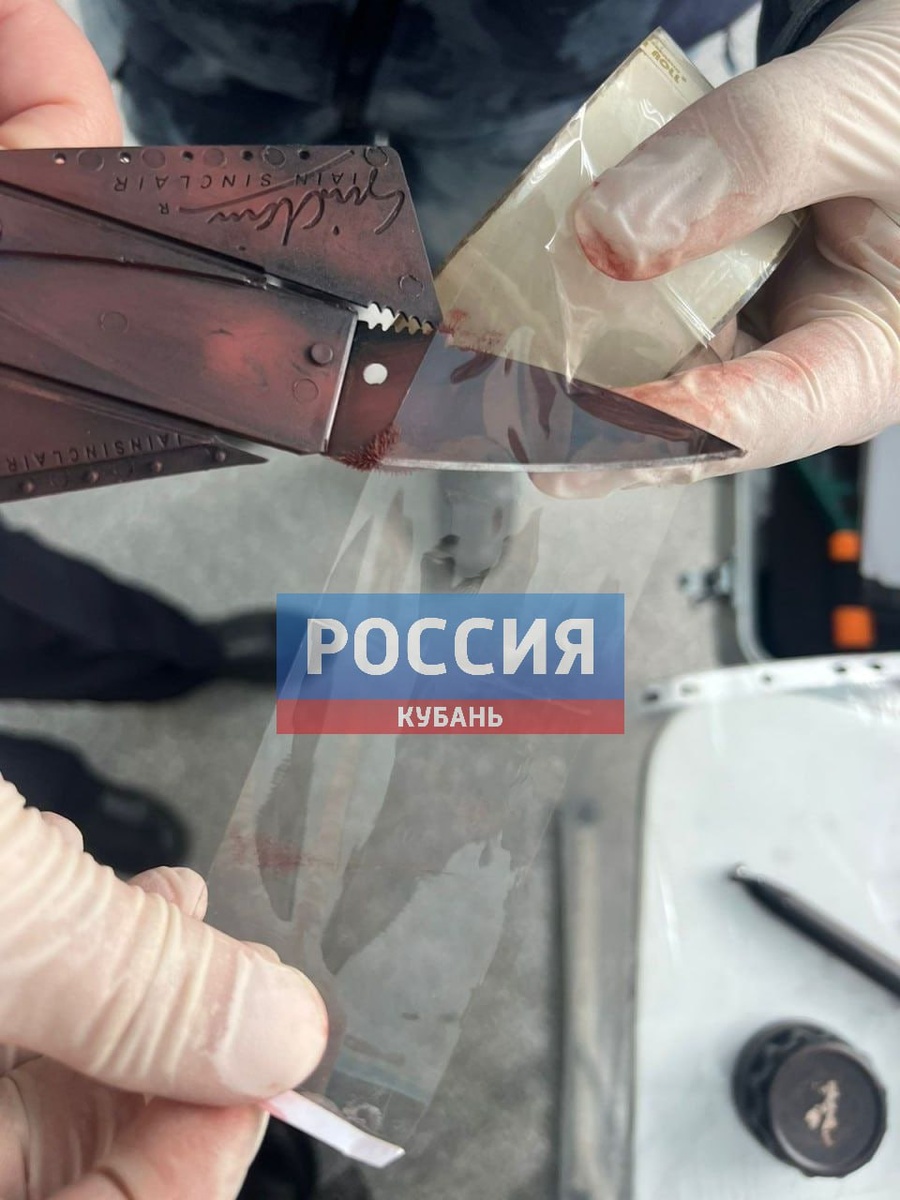 Фото: Россия.Кубань / Telegram