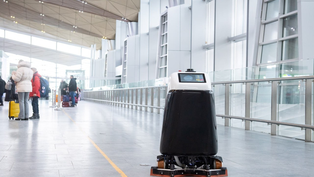     Источник: https://t.me/pulkovo_led