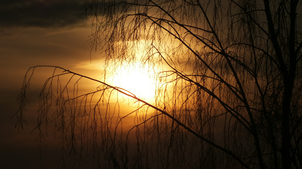    Фото: Victor Lisitsyn/Globallookpress