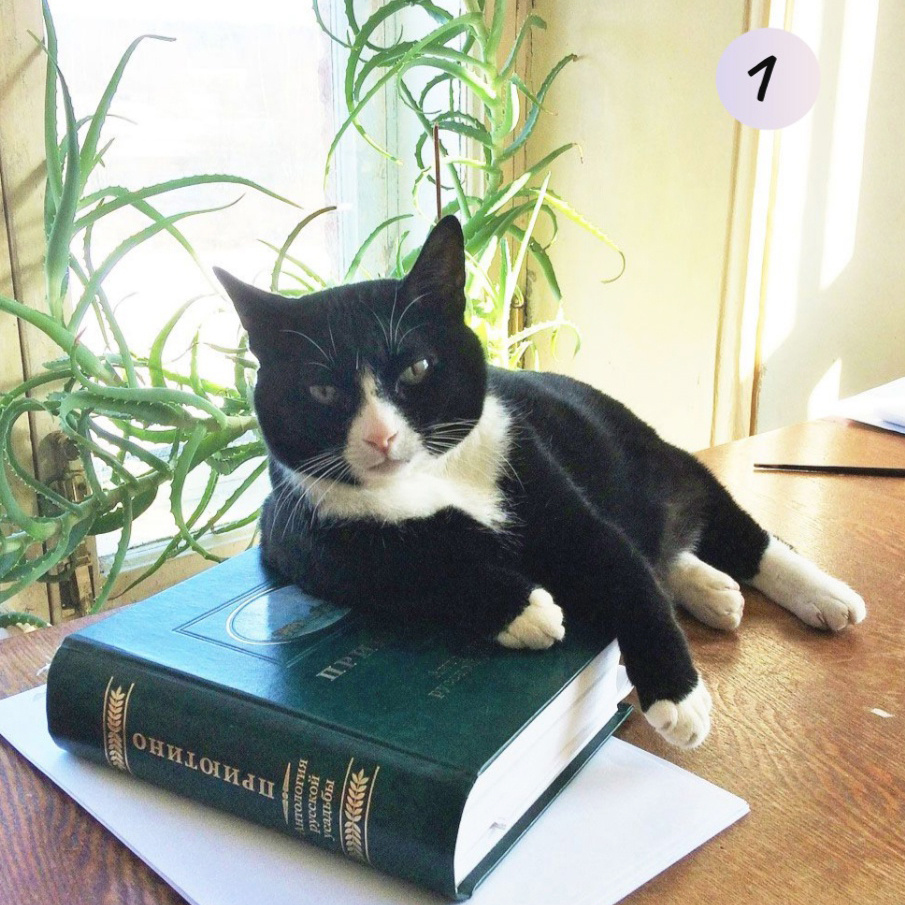 фото Музейного агентства Ленобласти