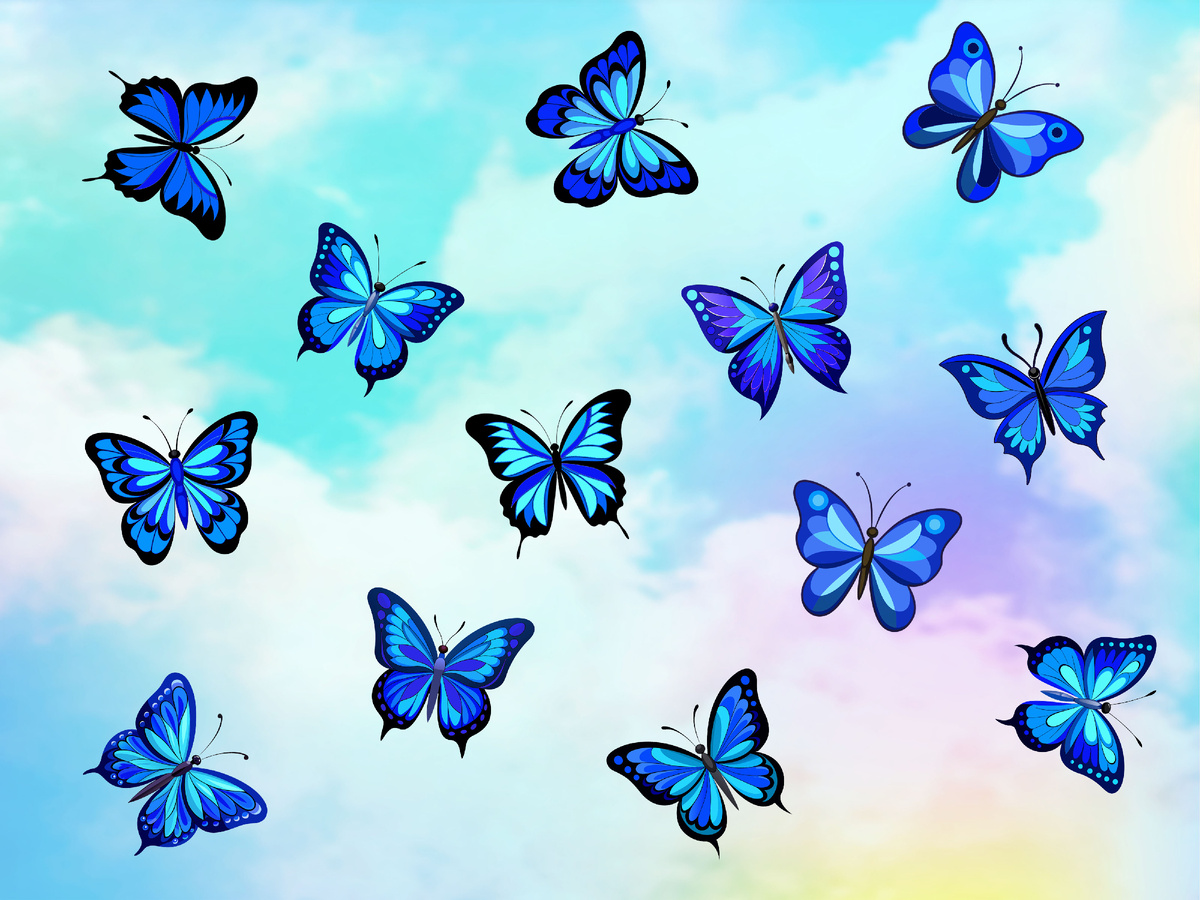 Среди этих бабочек есть две абсолютно одинаковые