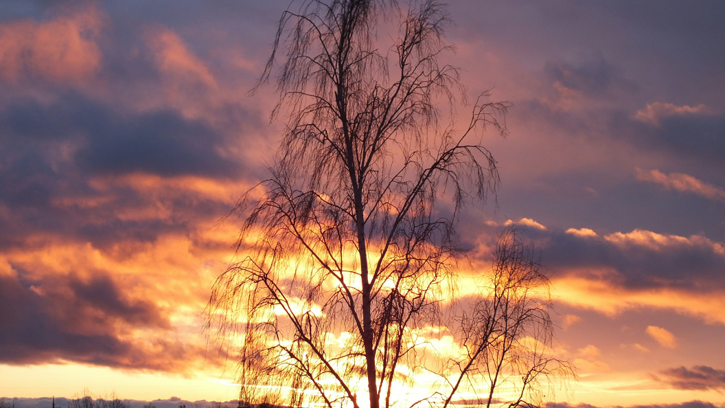    Victor Lisitsyn/Globallookpress