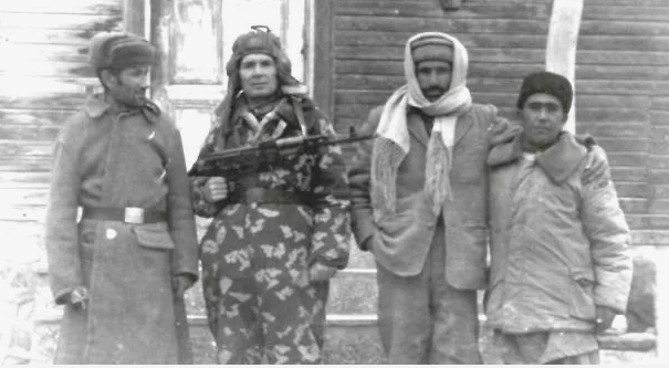 фото из интернета.