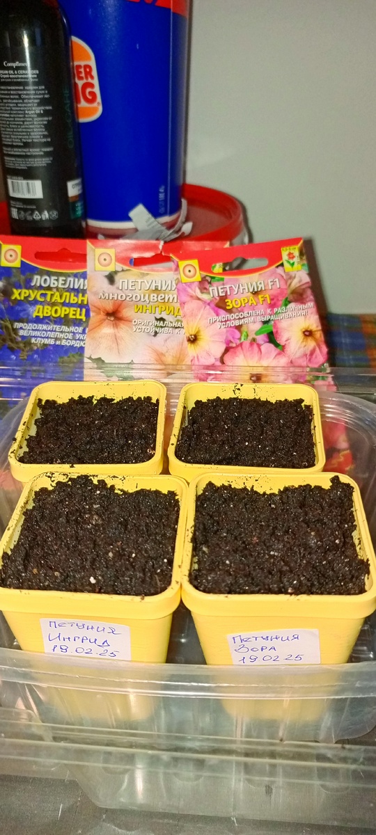 Досеяла цветочки