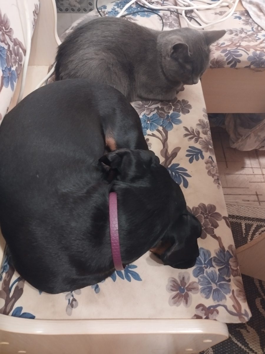 Петя и Маша отдыхают 