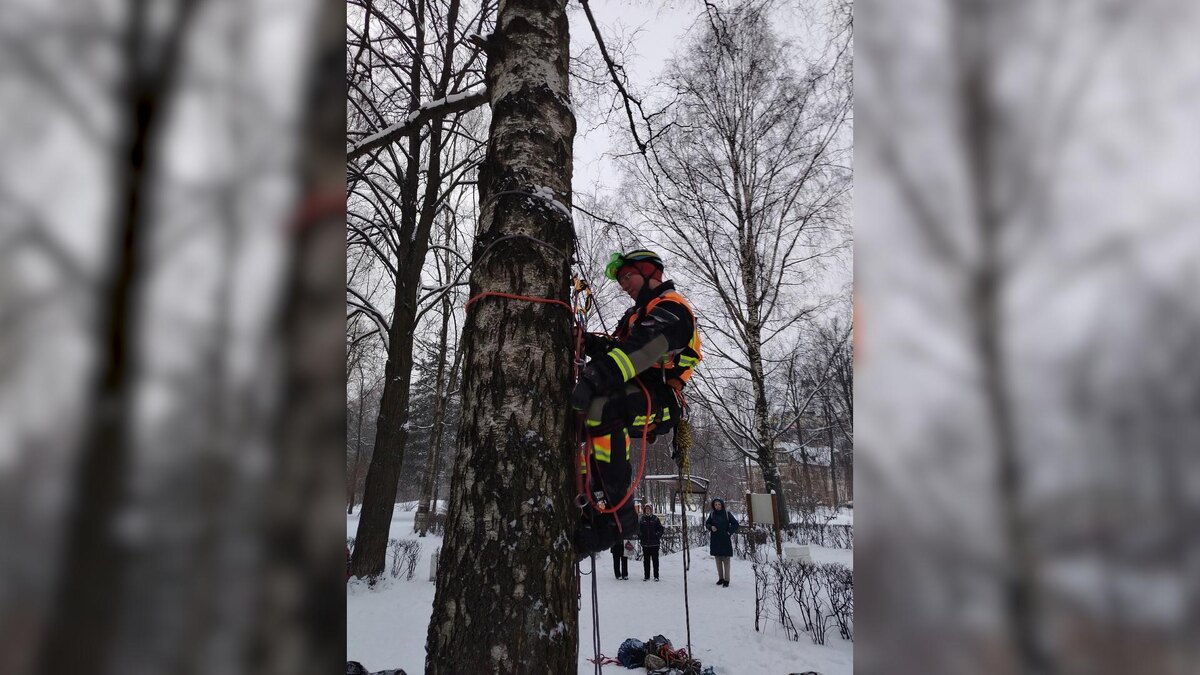 Фото: vk.com/koshkispas