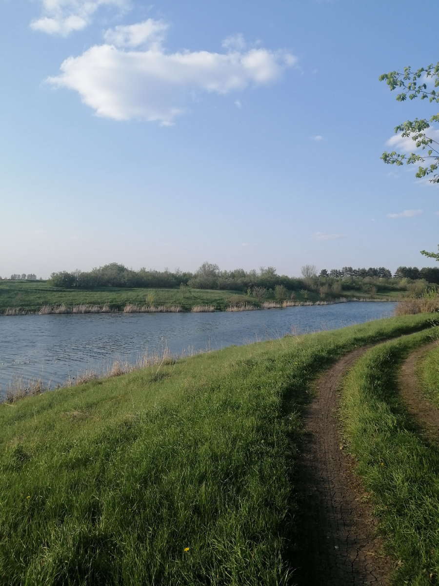 Я помню слова своего наставника, что эта профессия в первую очередь "служение", вот я и "служила"