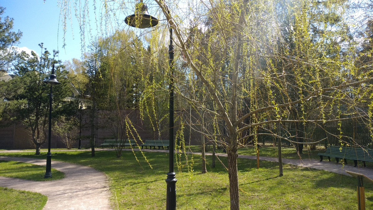 Галерея. Листайте фото вперёд-назад