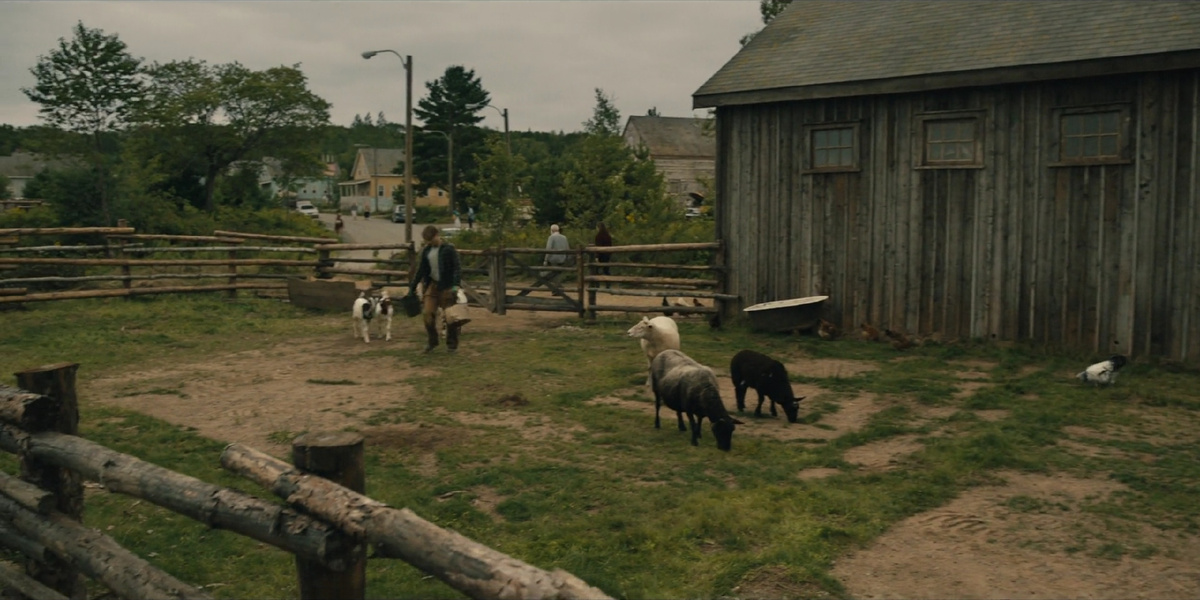 - Ваша мама пришла, гнилых очисток принесла!