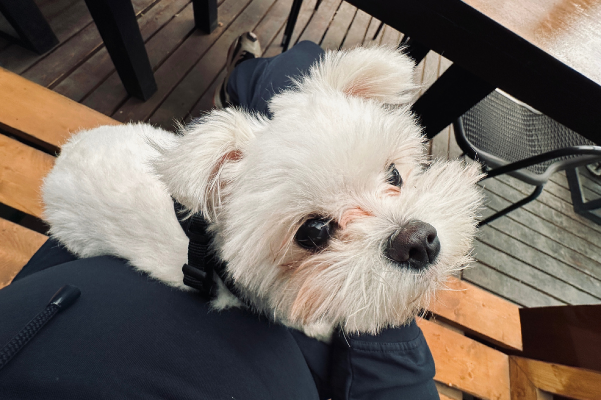 Так выглядела Элли, когда у нее слезились глаза