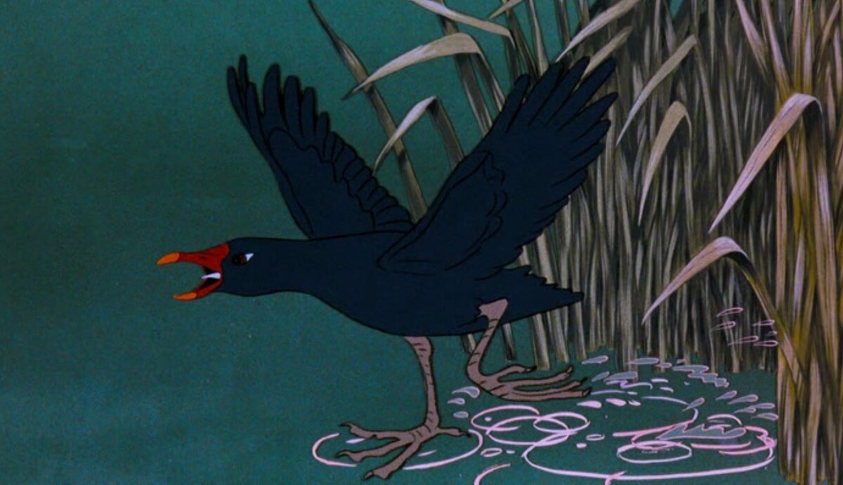 Камышница. Кард из мультфильма "Опаснейшее путешествие"