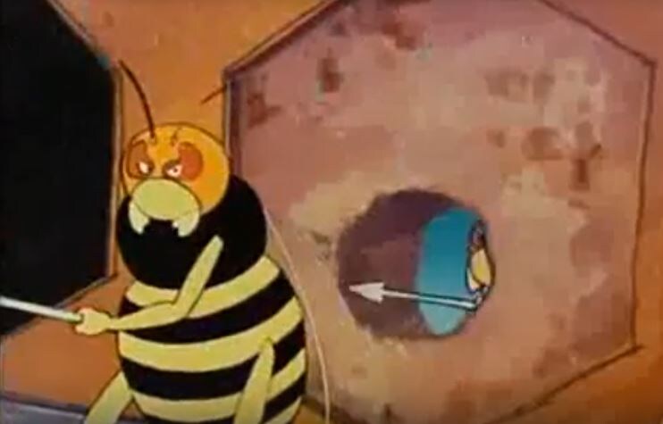 Шершни жуткие!