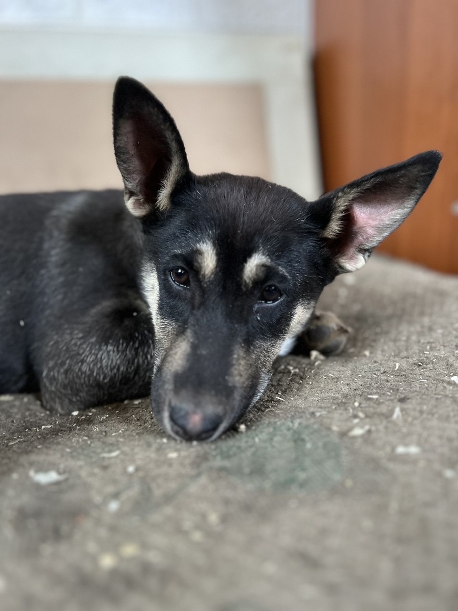 А я пока об этом не знаю и грущу в одиночестве