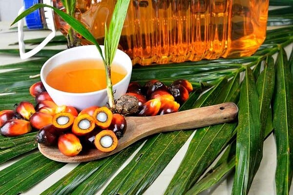 Пальмовое масло: дешевый ингредиент или источник здоровья для мозга?