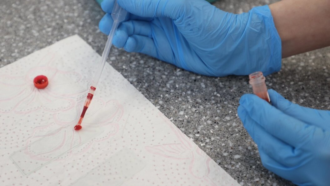    Artem Sobolev/news.ru/Globallookpress